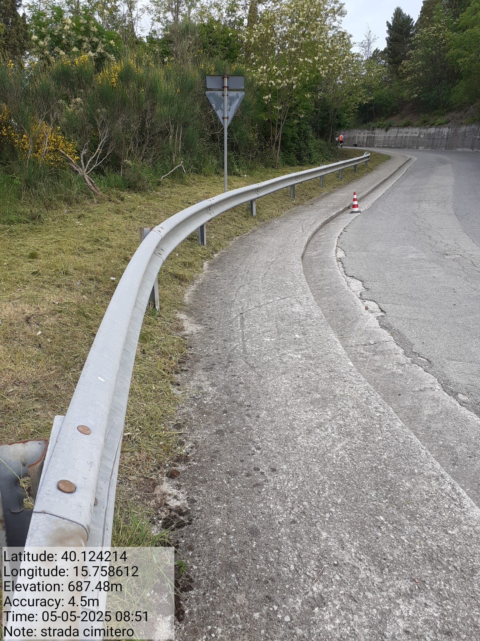 Galleria Fotografica Immagine