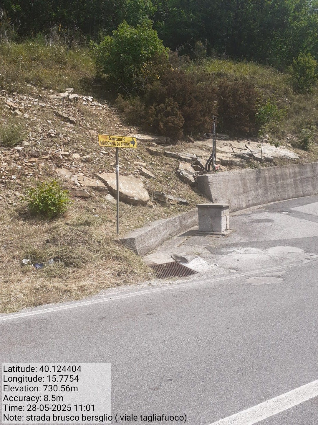 Galleria Fotografica Immagine