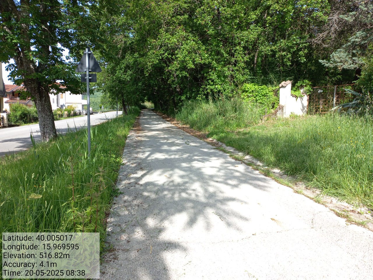 Galleria Fotografica Immagine