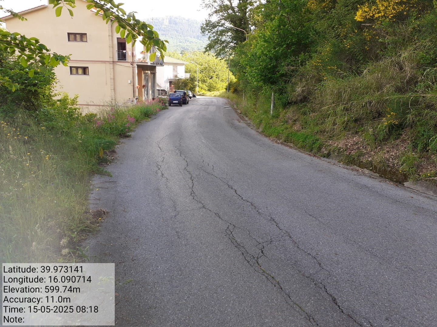 Galleria Fotografica Immagine