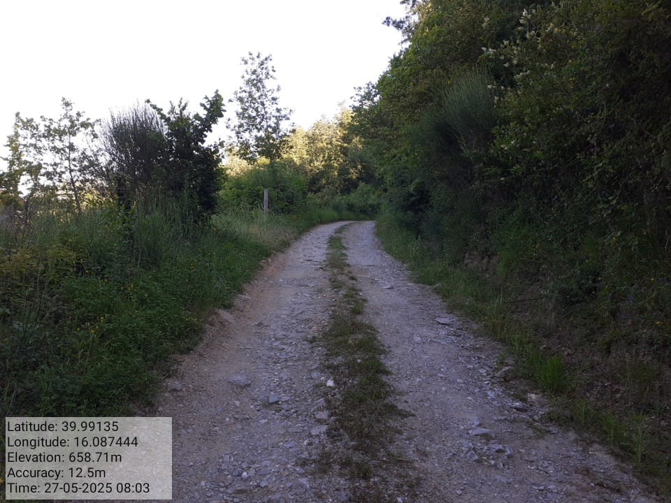 Galleria Fotografica Immagine