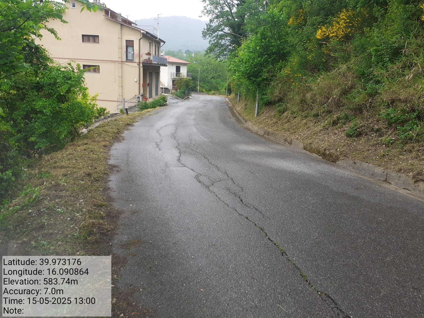 Galleria Fotografica Immagine