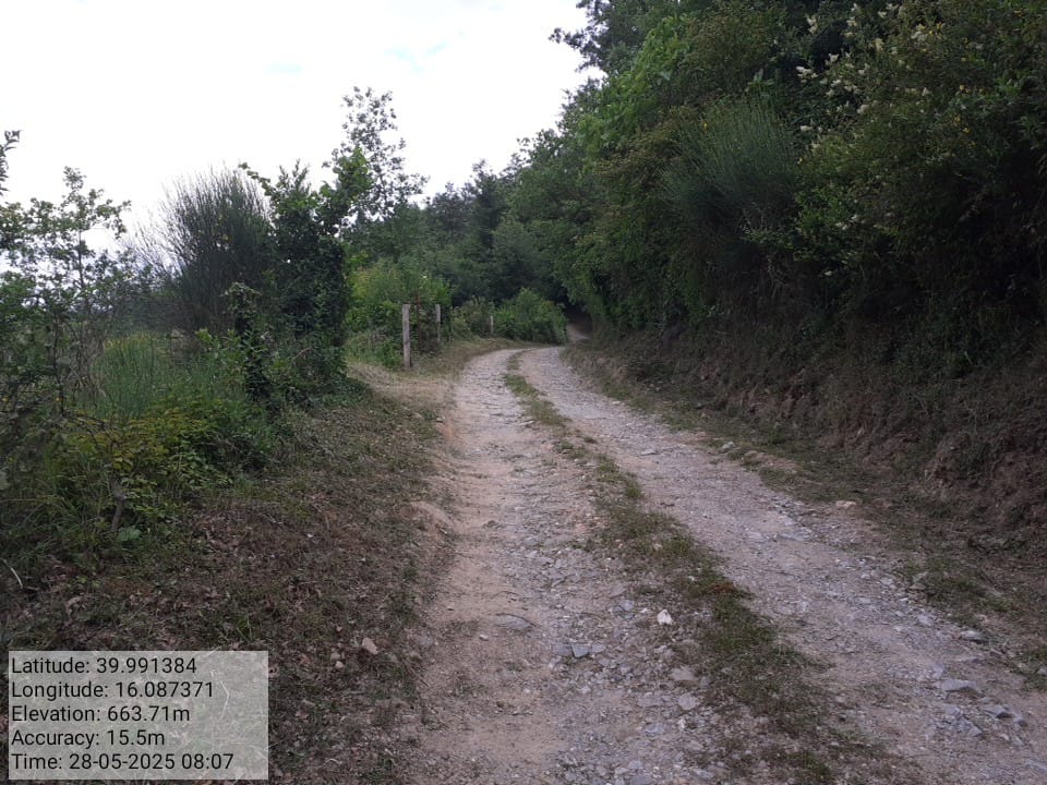 Galleria Fotografica Immagine