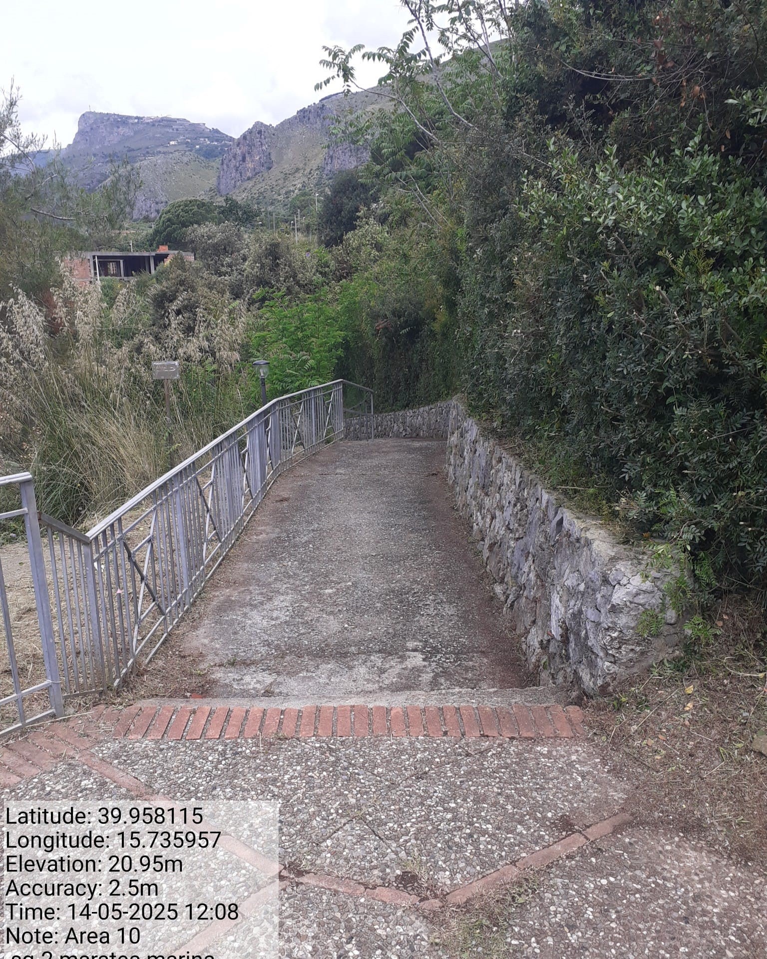 Galleria Fotografica Immagine