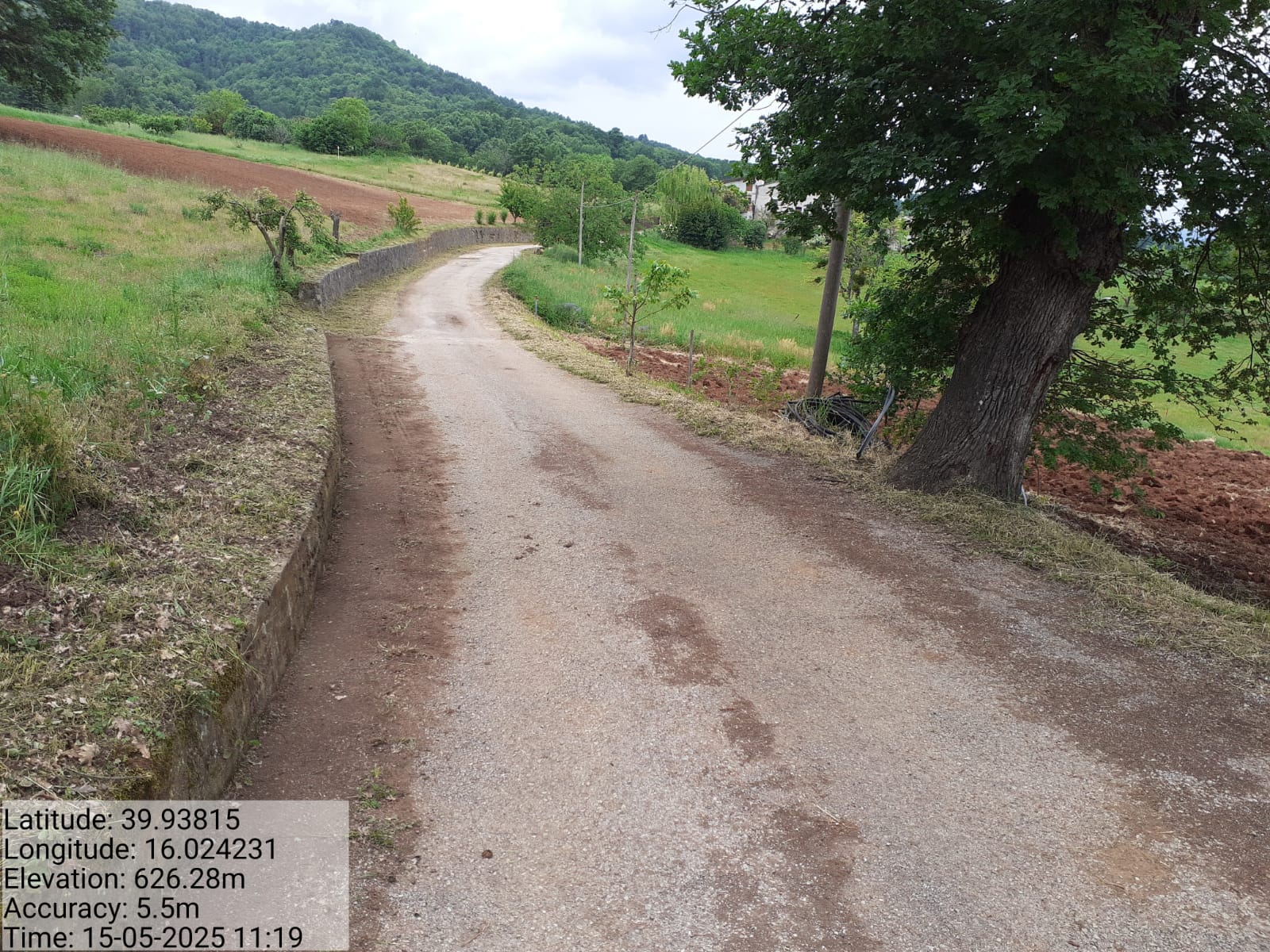 Galleria Fotografica Immagine