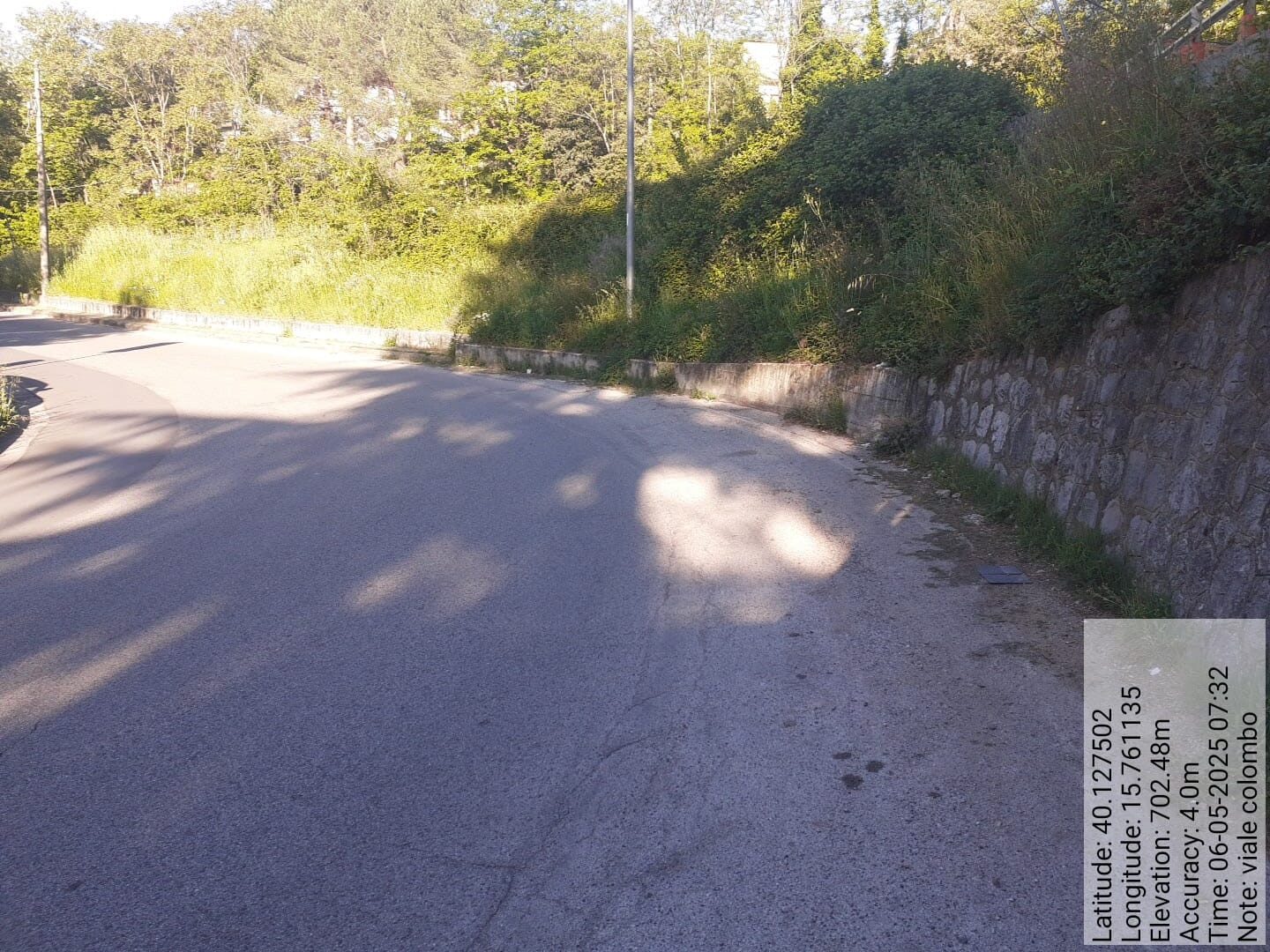 Galleria Fotografica Immagine