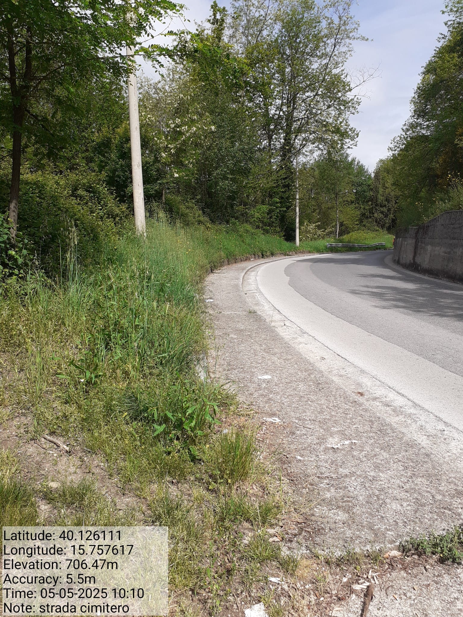 Galleria Fotografica Immagine