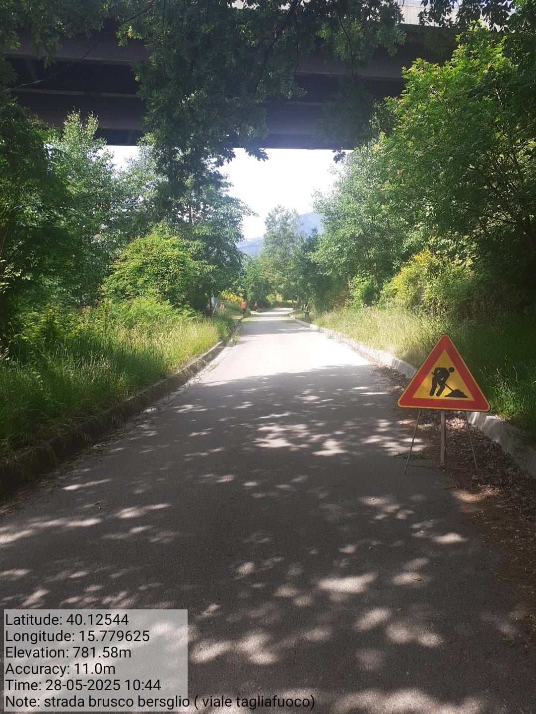 Galleria Fotografica Immagine