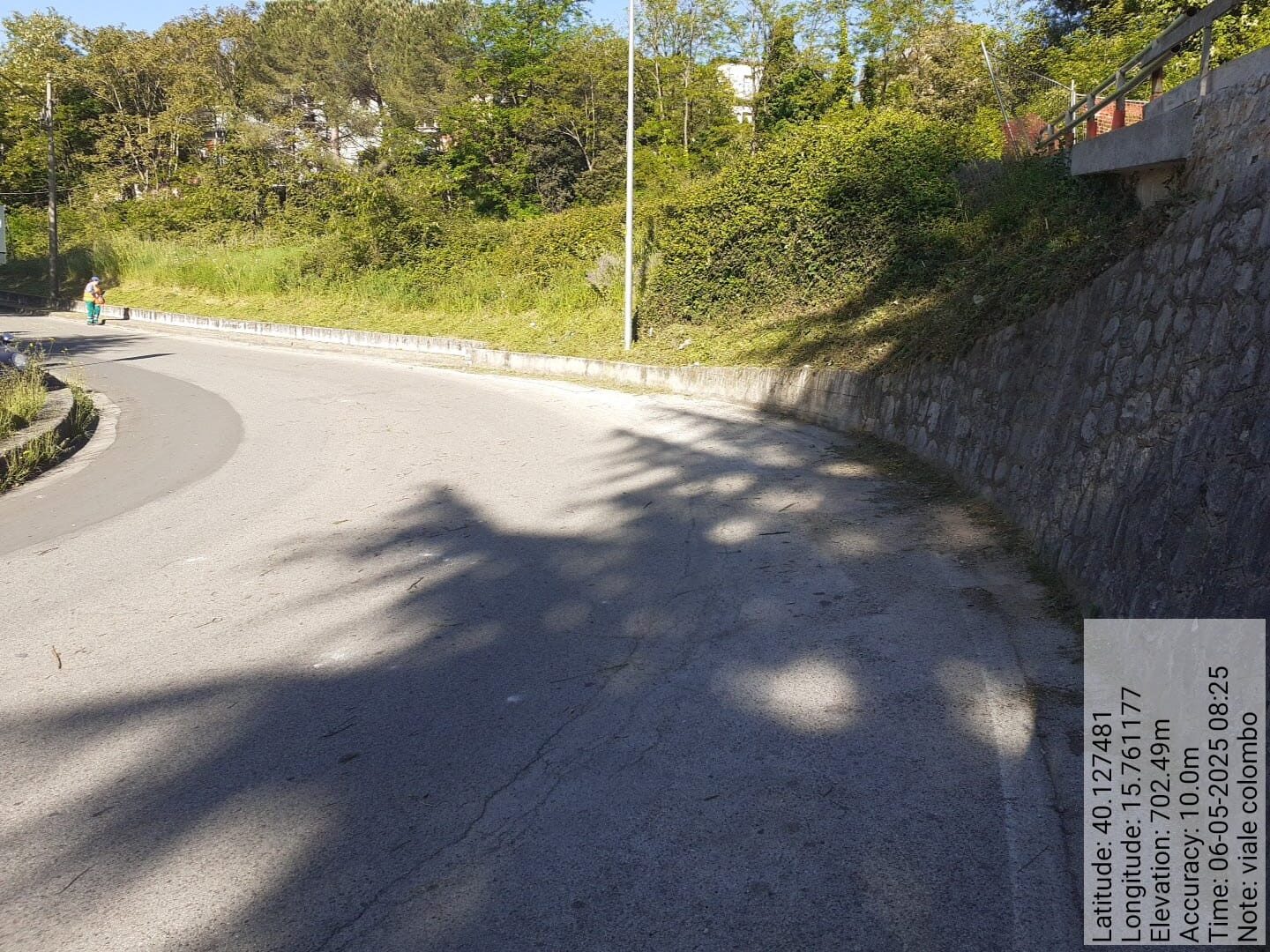 Galleria Fotografica Immagine