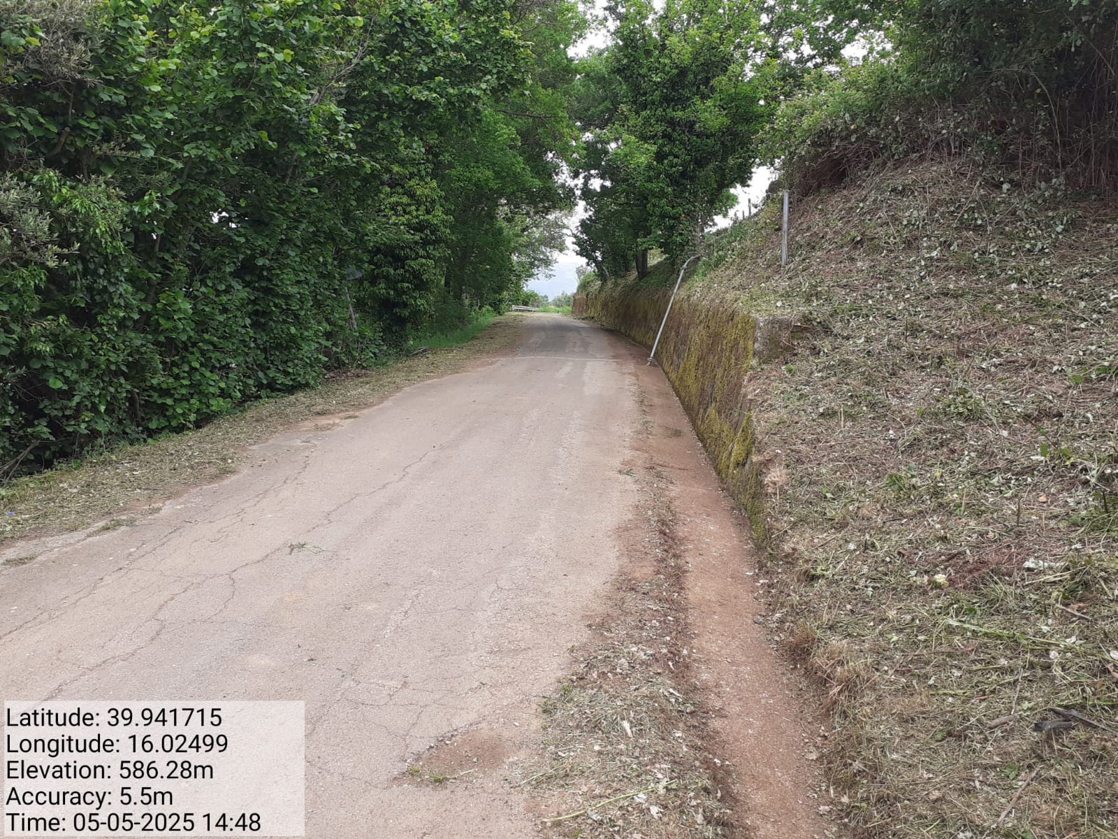 Galleria Fotografica Immagine