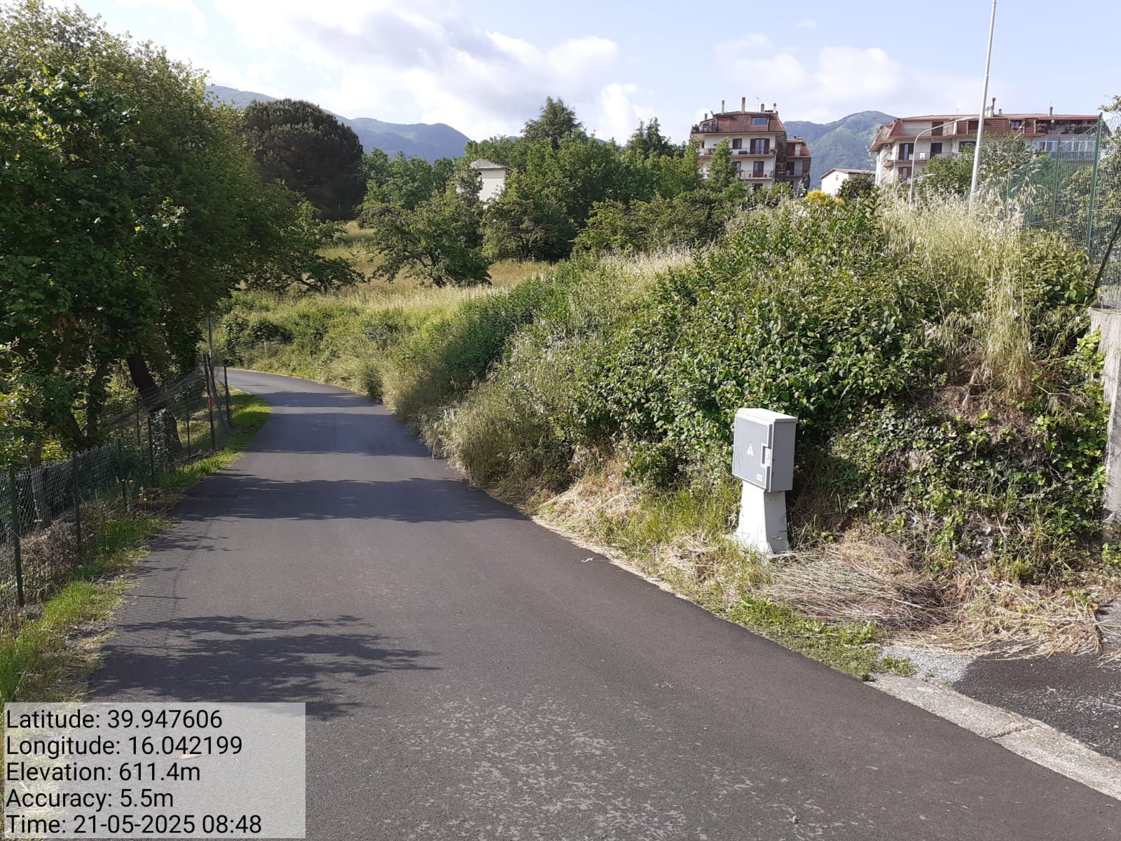 Galleria Fotografica Immagine