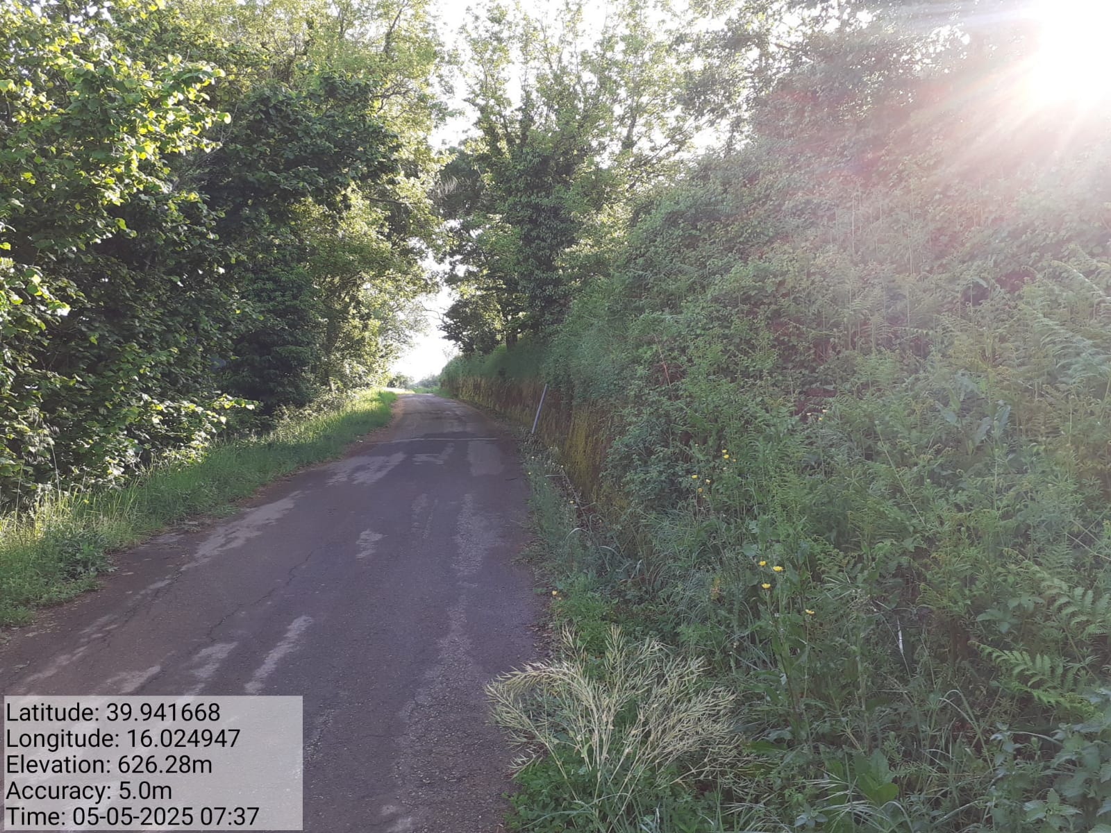 Galleria Fotografica Immagine