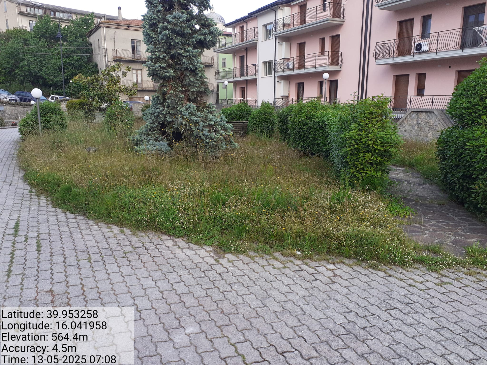 Galleria Fotografica Immagine