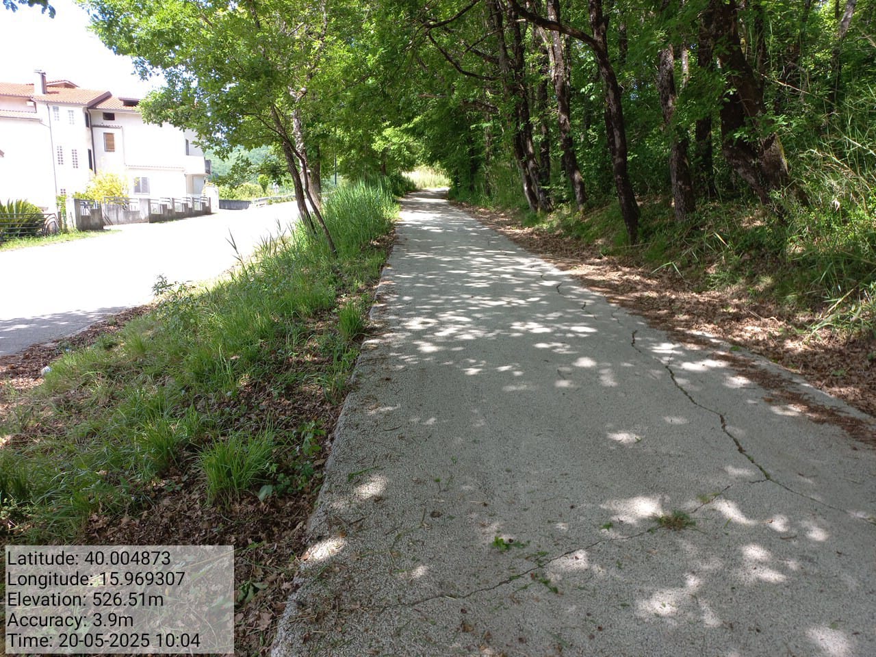 Galleria Fotografica Immagine