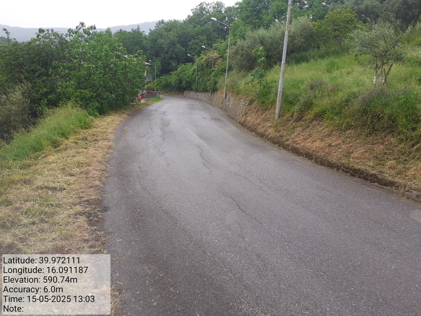 Galleria Fotografica Immagine