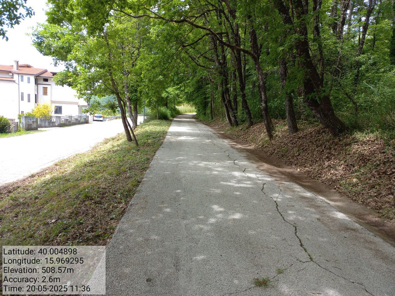 Galleria Fotografica Immagine