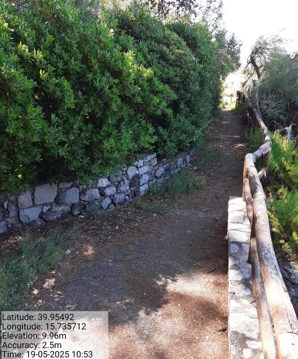 Galleria Fotografica Immagine