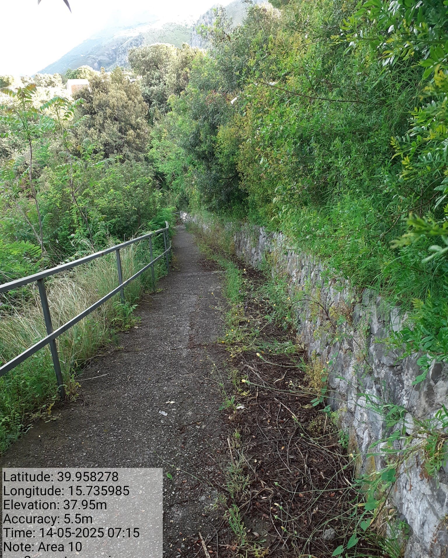 Galleria Fotografica Immagine