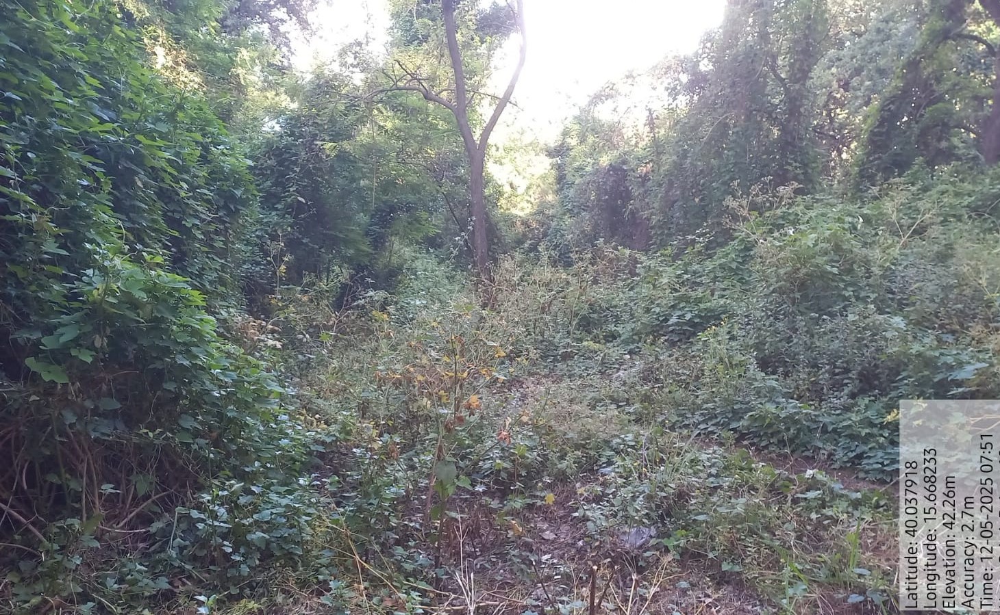 Galleria Fotografica Immagine