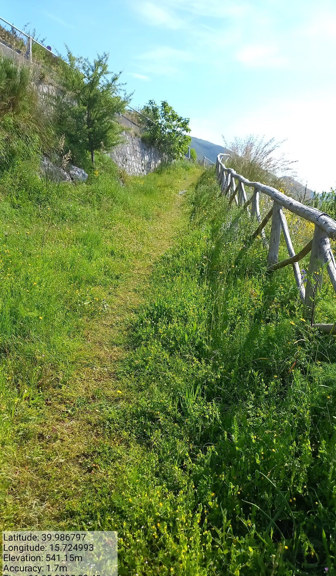 Galleria Fotografica Immagine