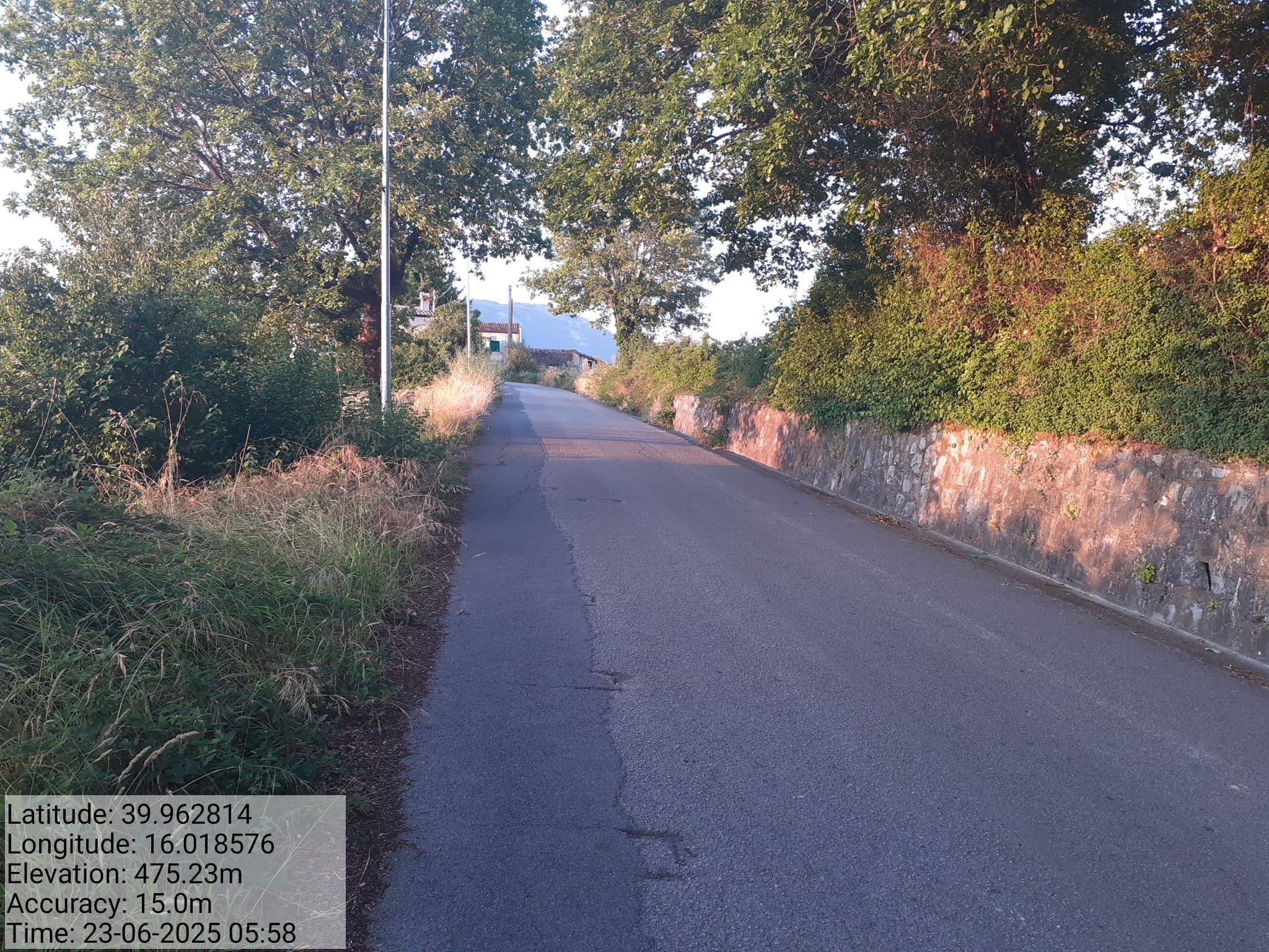 Galleria Fotografica Immagine