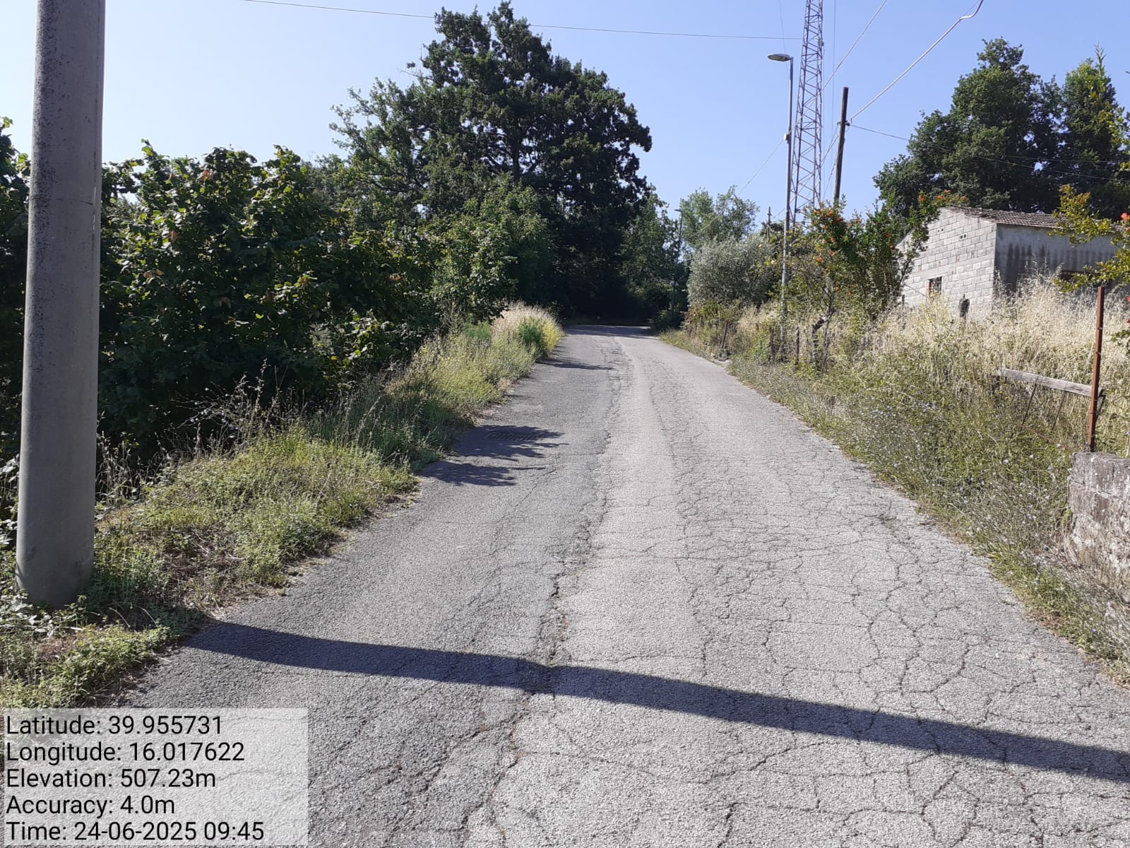 Galleria Fotografica Immagine