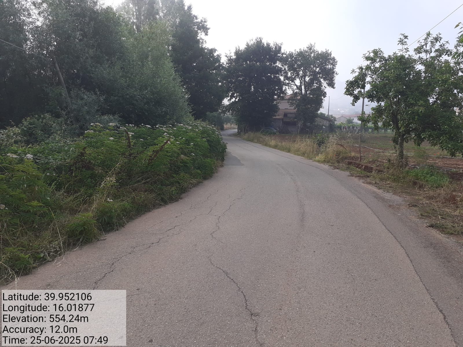 Galleria Fotografica Immagine