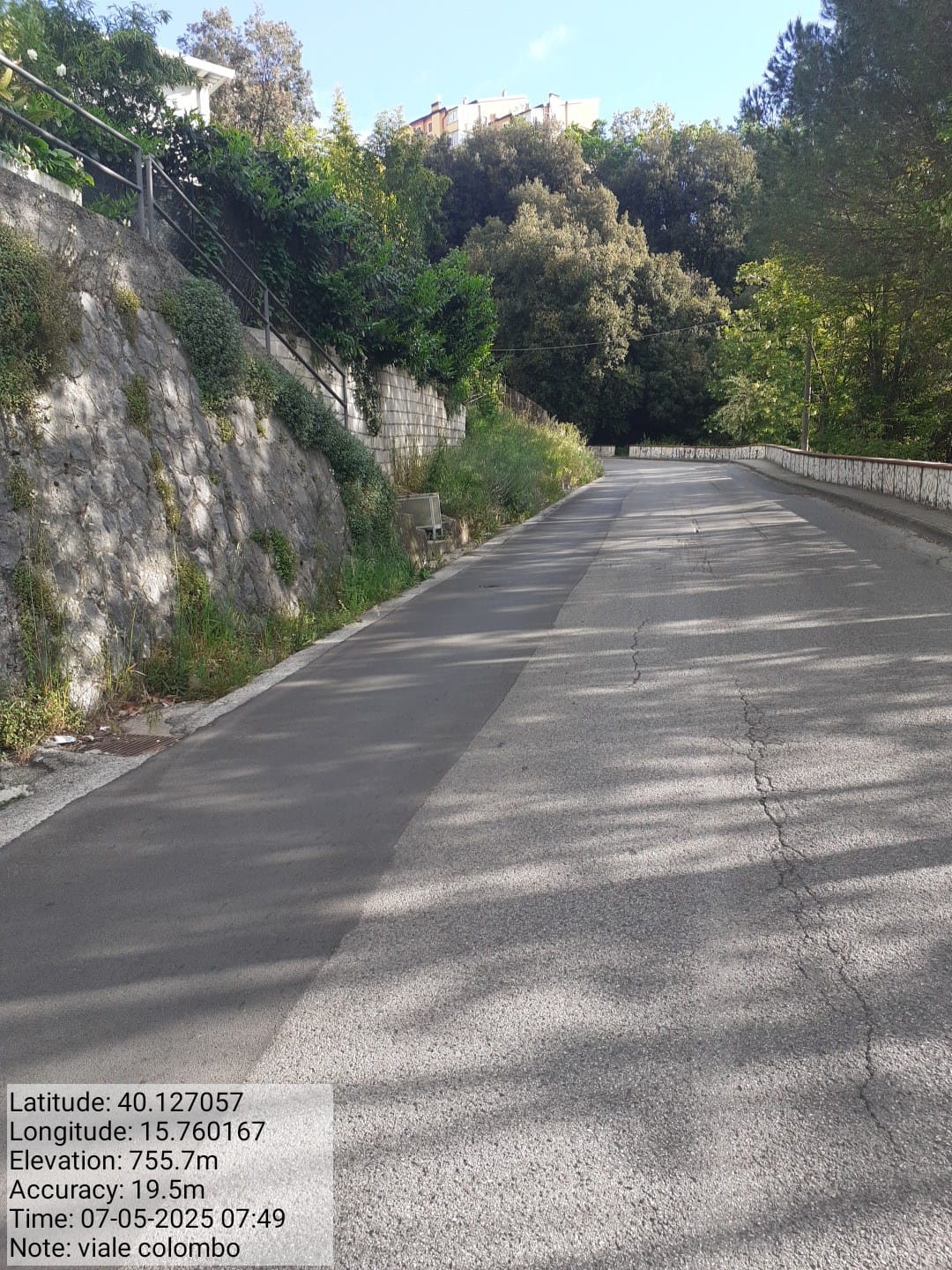 Galleria Fotografica Immagine