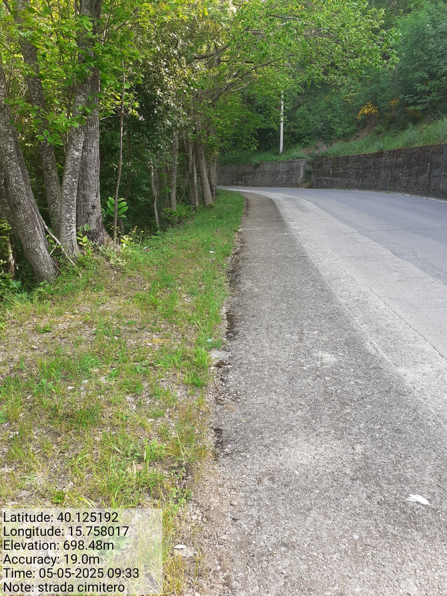 Galleria Fotografica Immagine