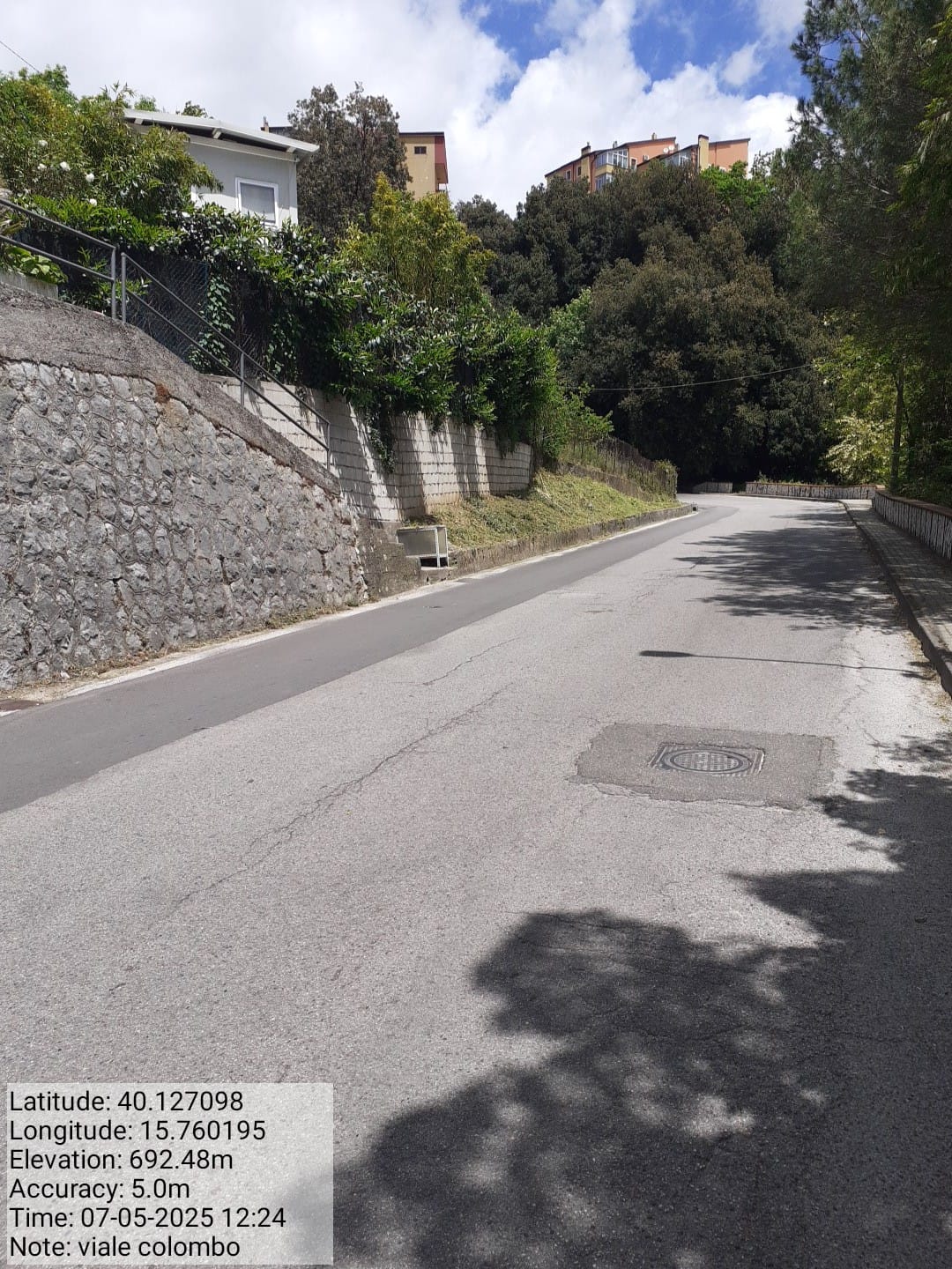 Galleria Fotografica Immagine