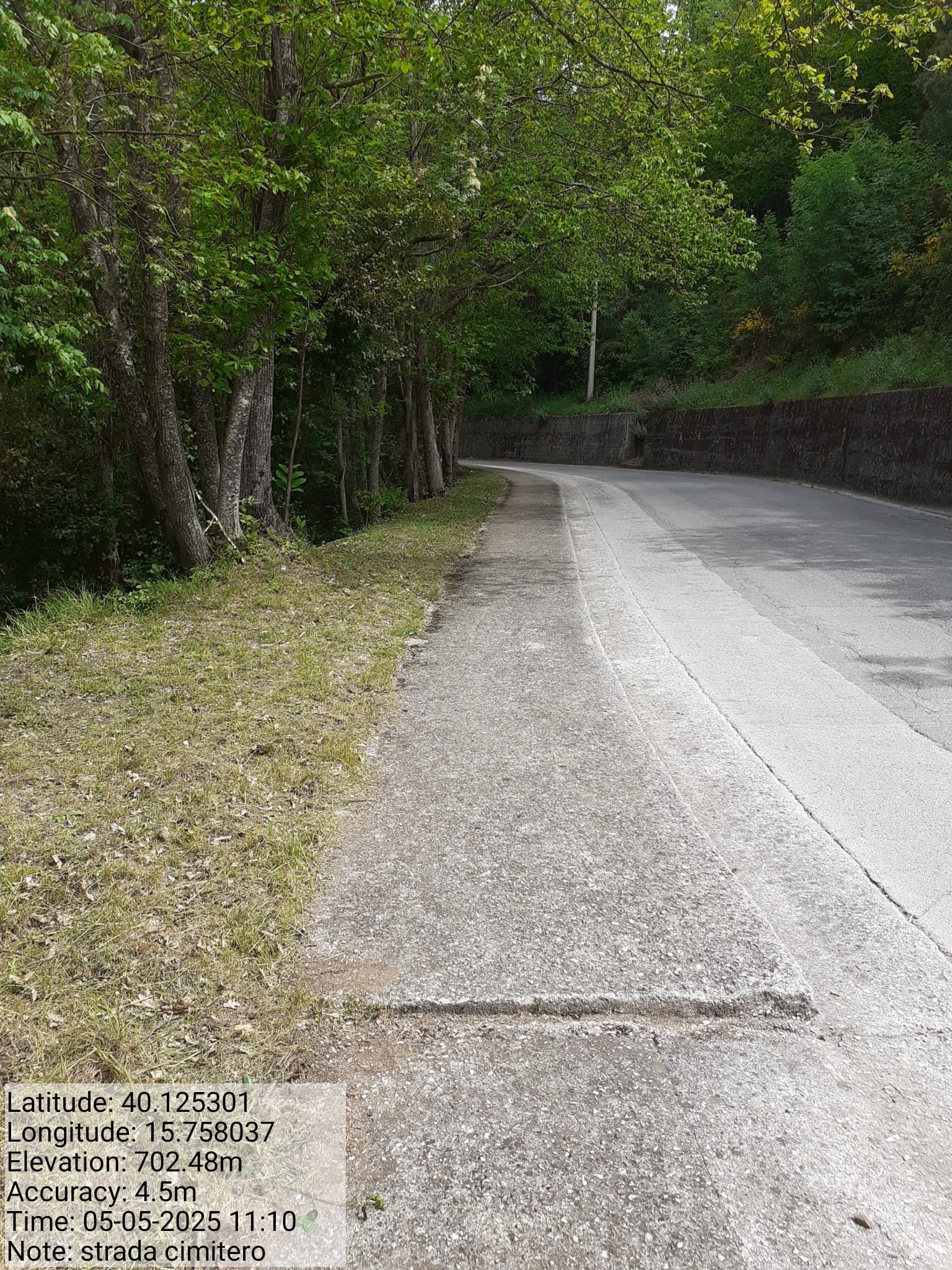 Galleria Fotografica Immagine