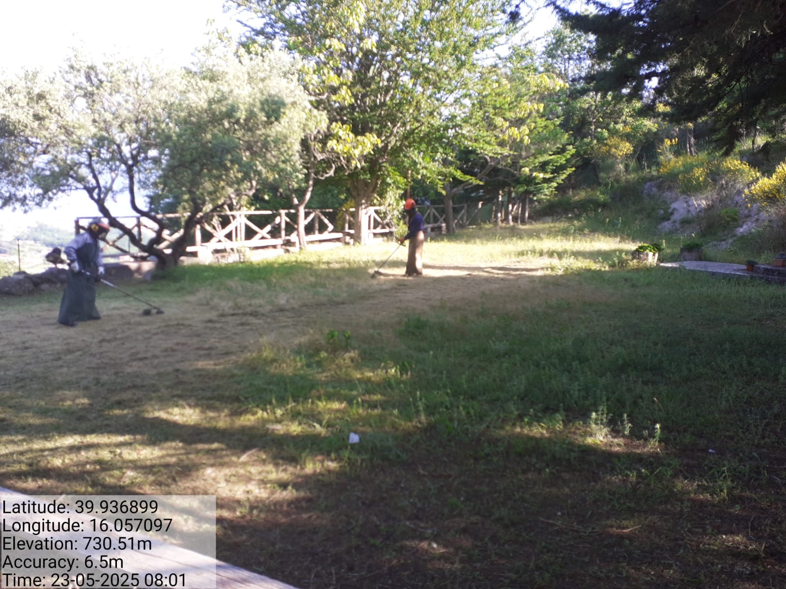 Galleria Fotografica Immagine