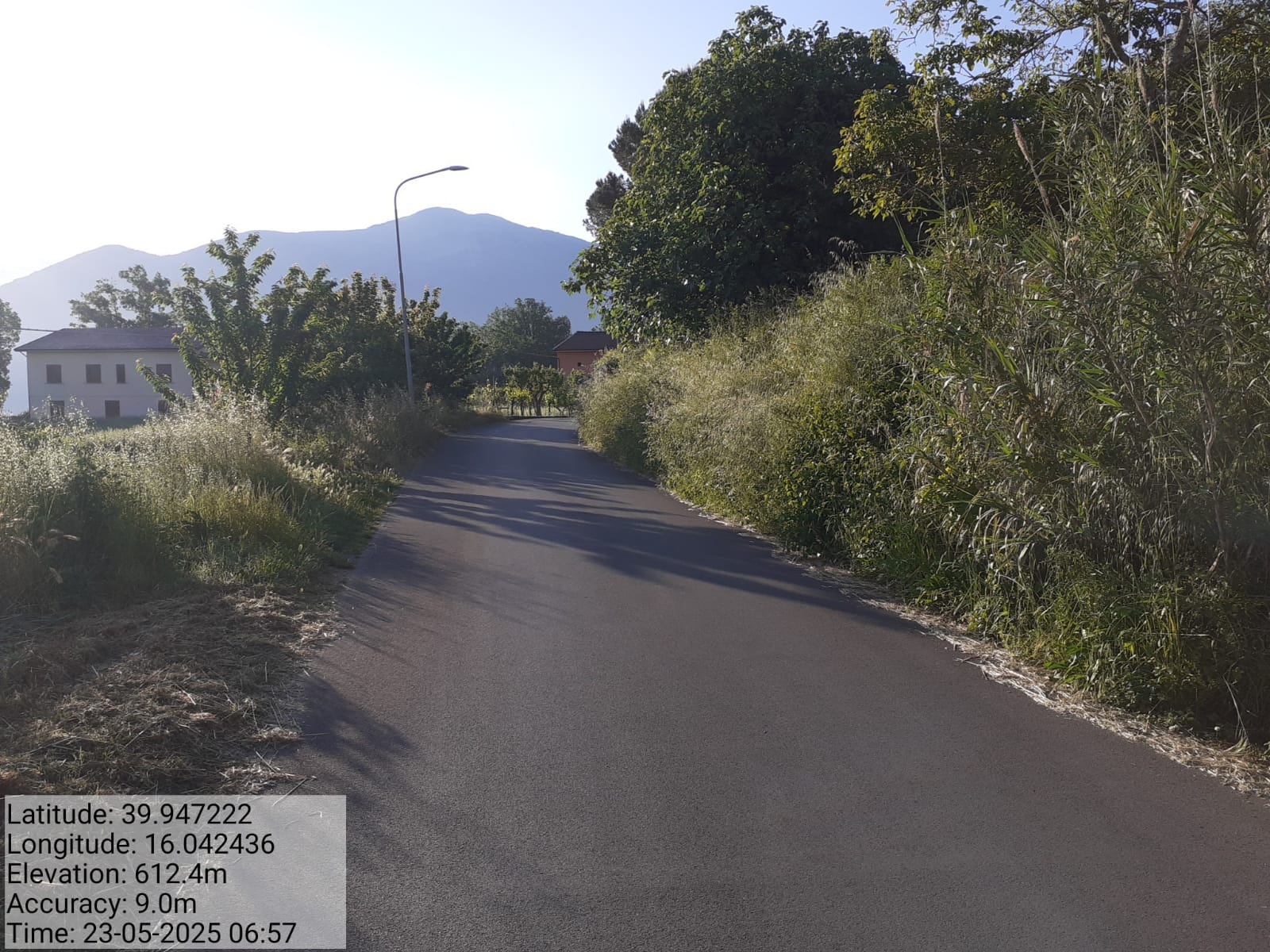 Galleria Fotografica Immagine