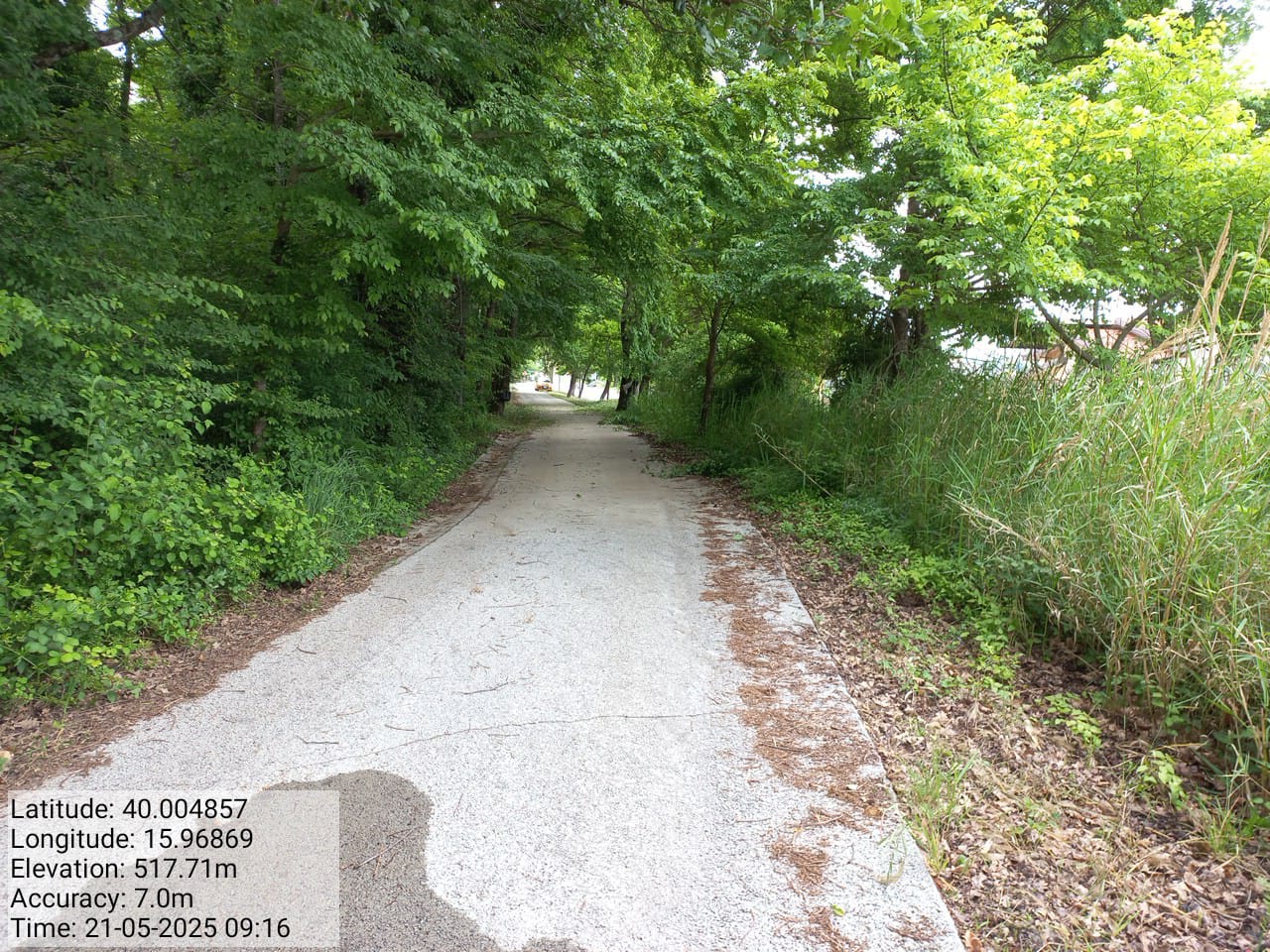 Galleria Fotografica Immagine