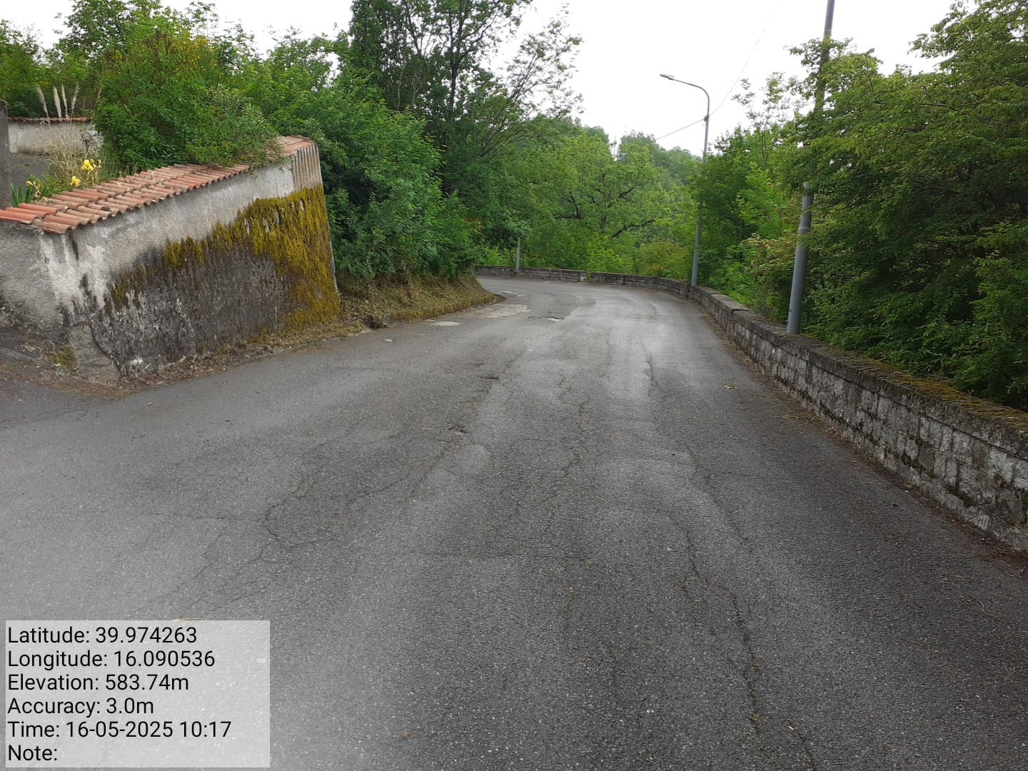 Galleria Fotografica Immagine