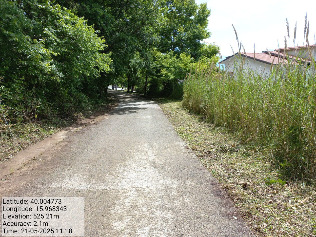 Galleria Fotografica Immagine