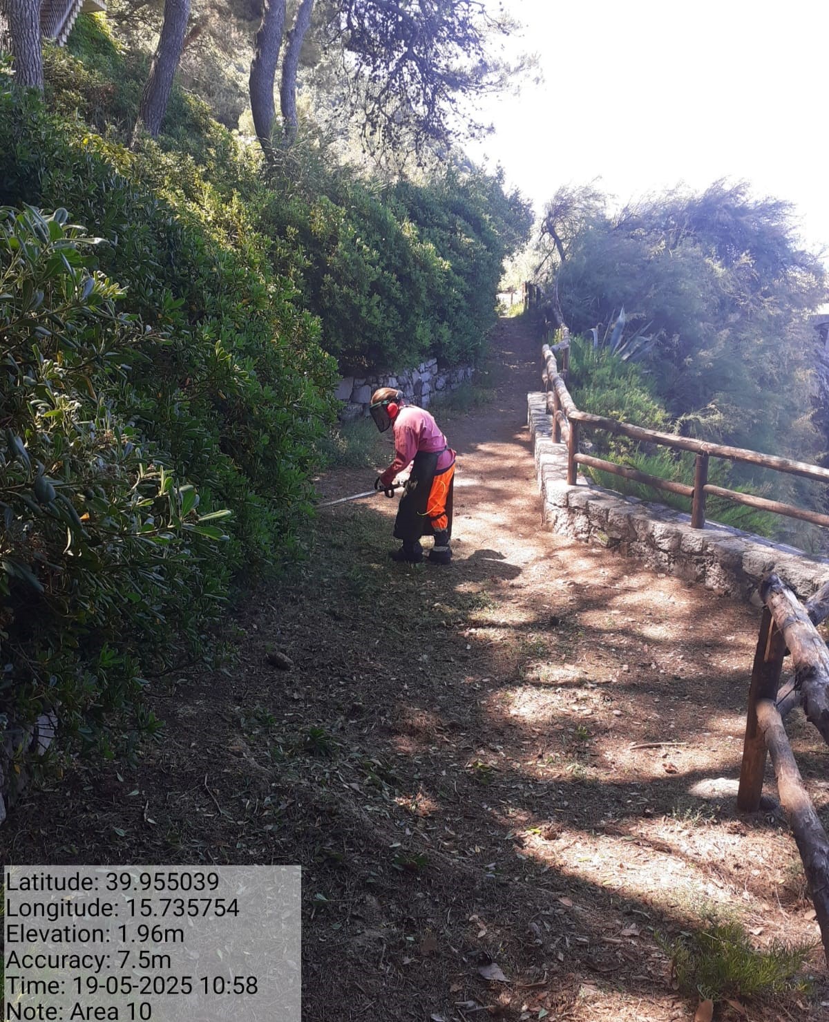 Galleria Fotografica Immagine