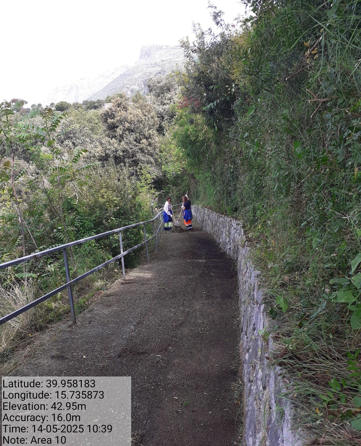 Galleria Fotografica Immagine