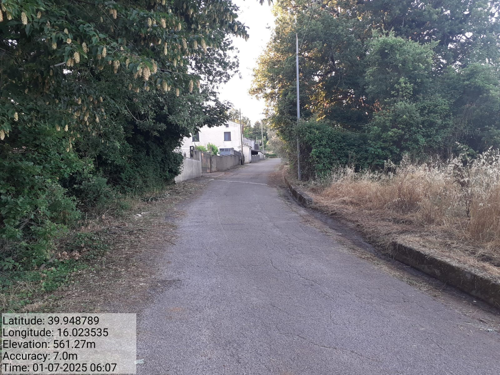 Galleria Fotografica Immagine