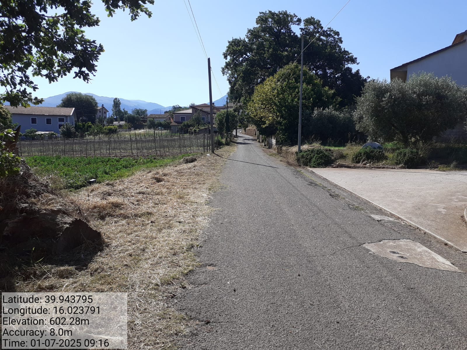 Galleria Fotografica Immagine