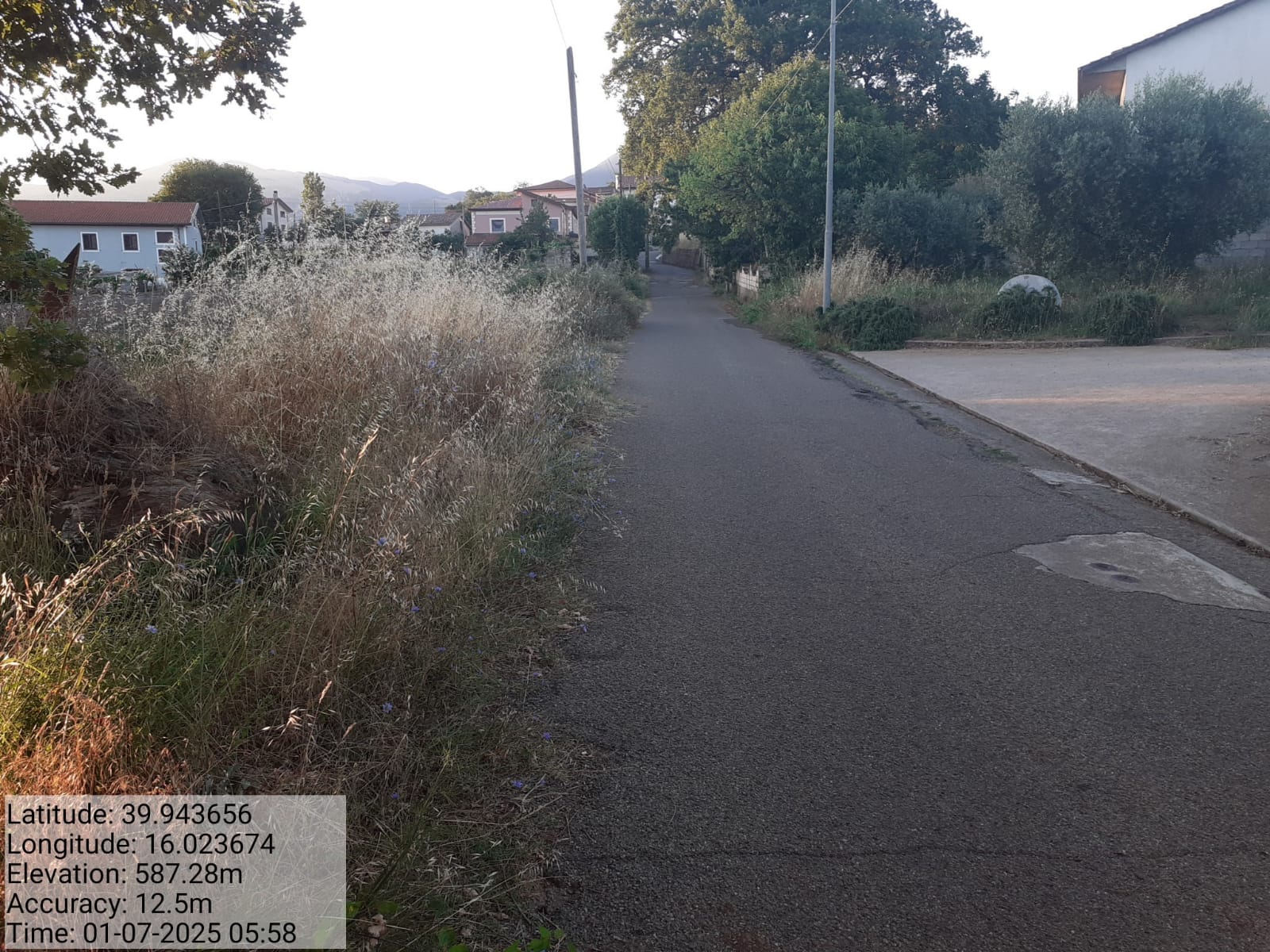 Galleria Fotografica Immagine