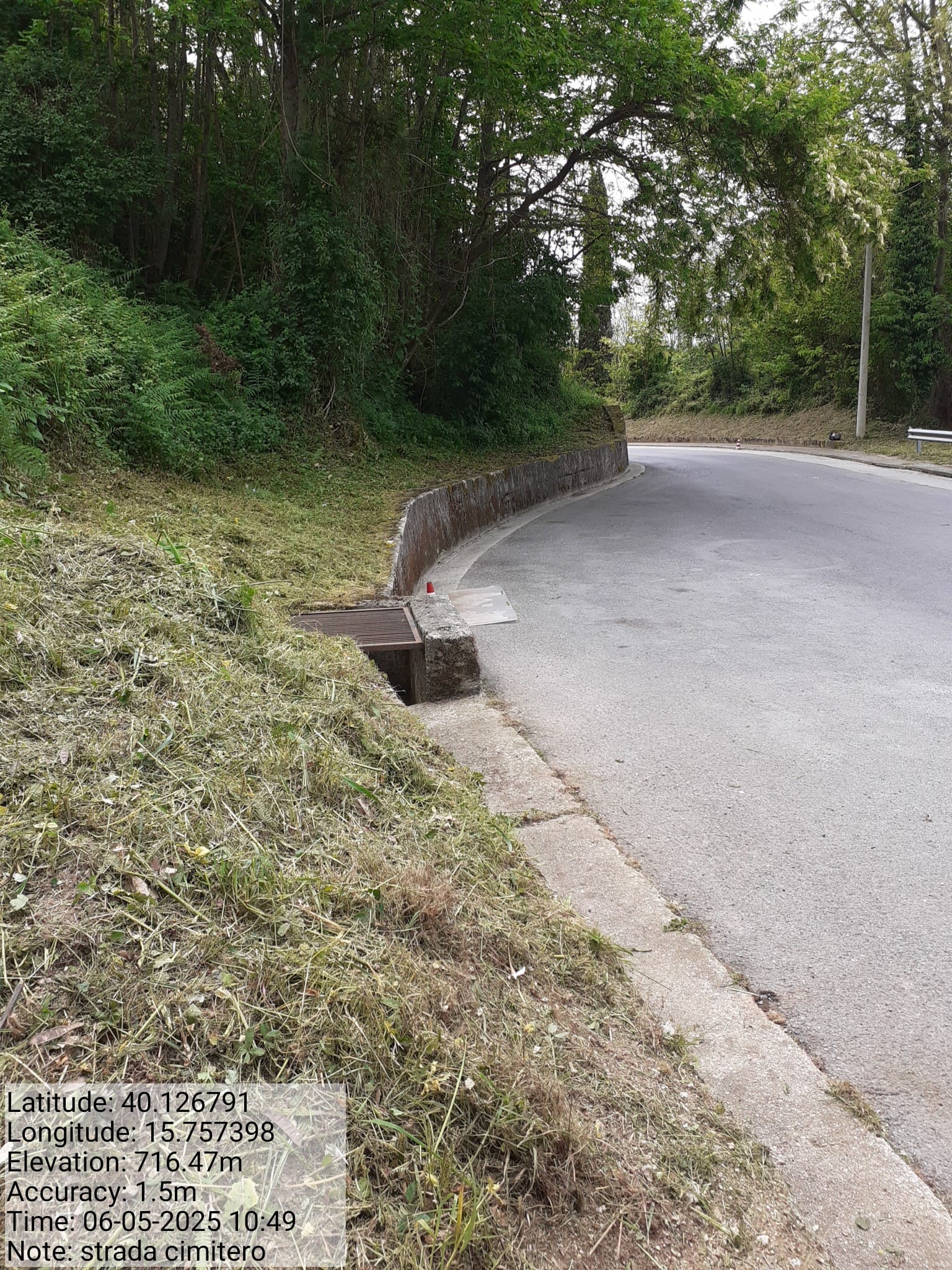 Galleria Fotografica Immagine