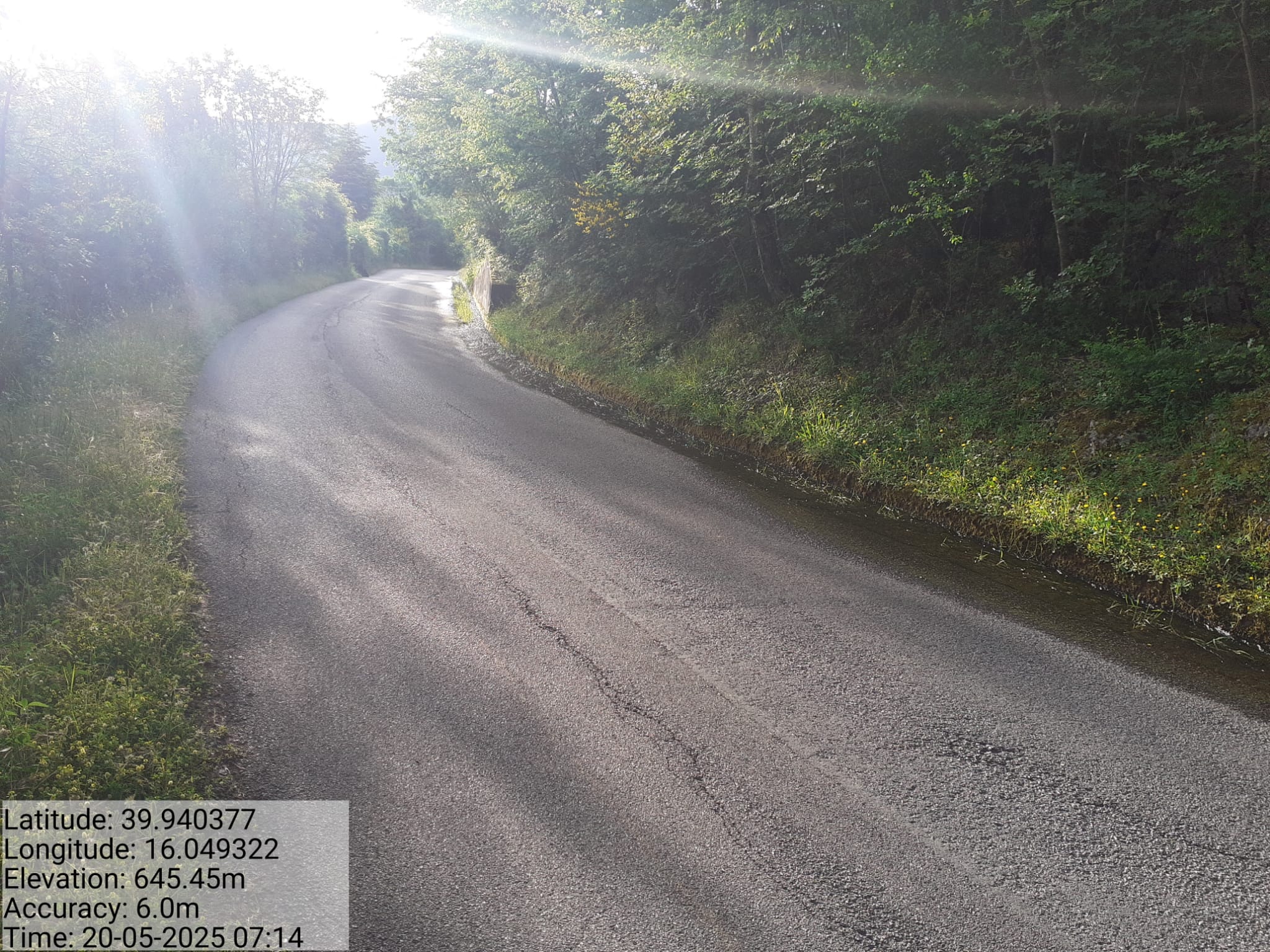 Galleria Fotografica Immagine