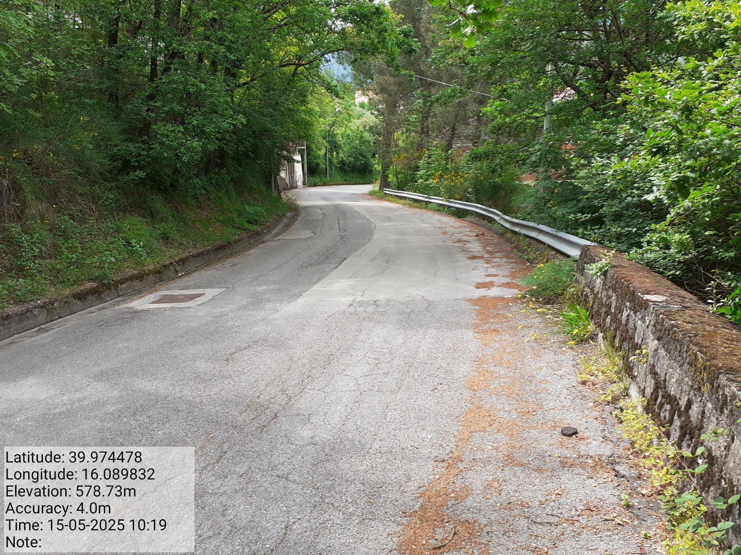 Galleria Fotografica Immagine