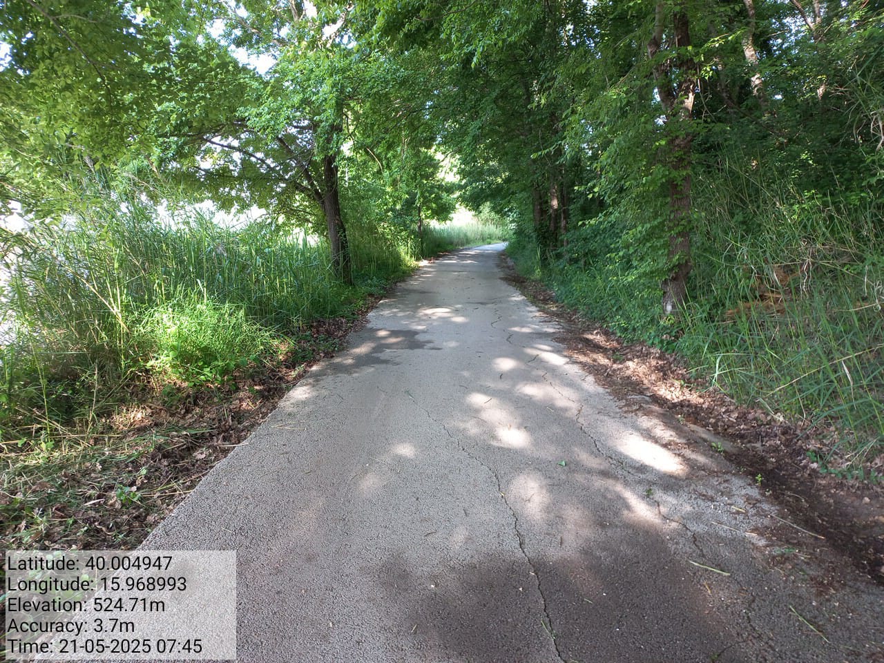 Galleria Fotografica Immagine