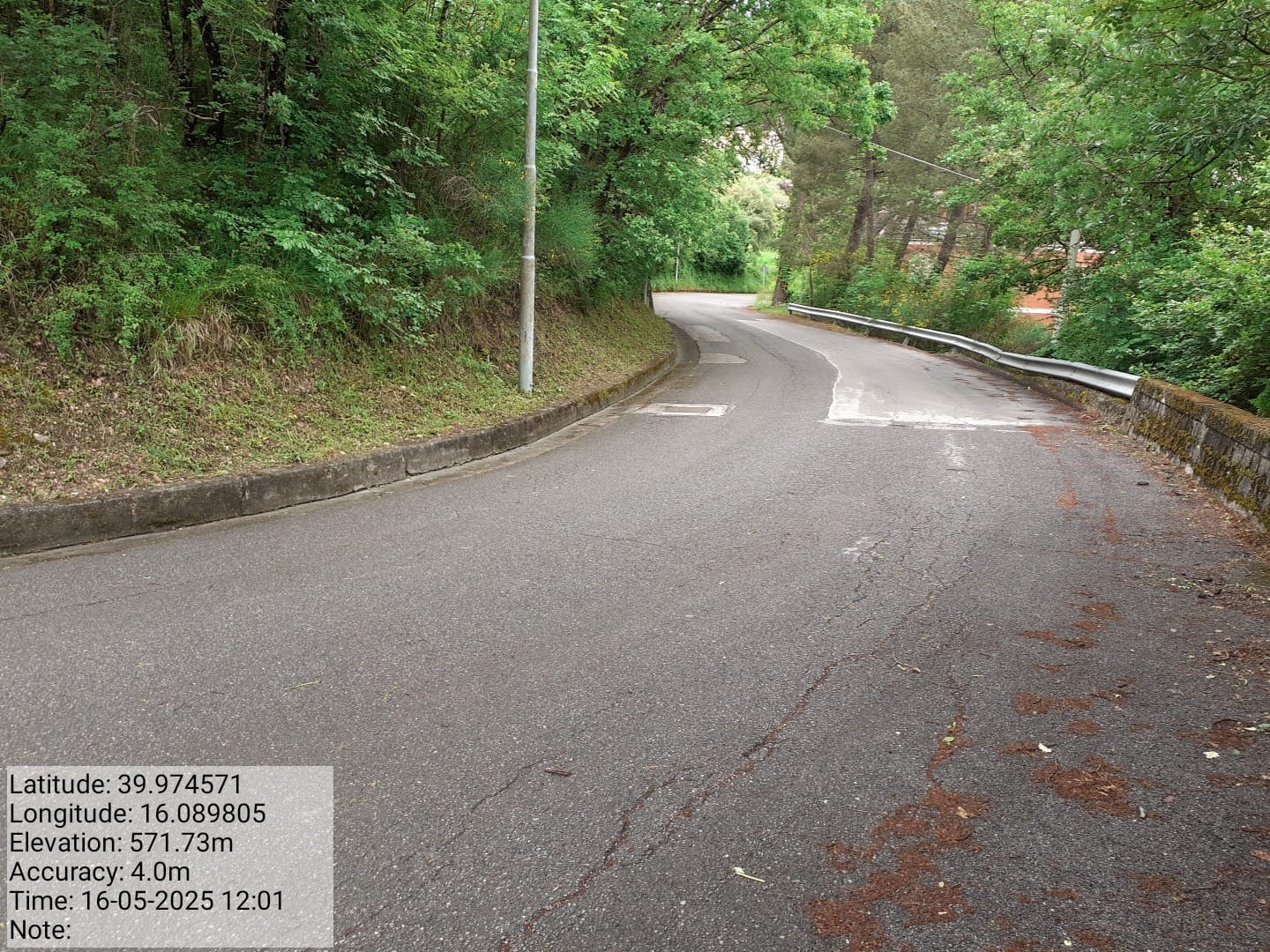 Galleria Fotografica Immagine