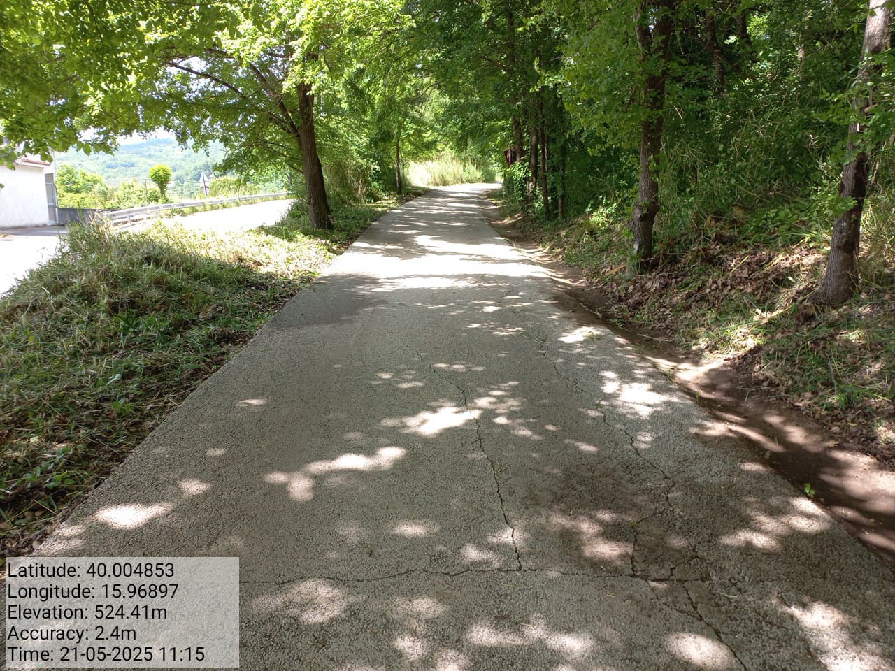 Galleria Fotografica Immagine