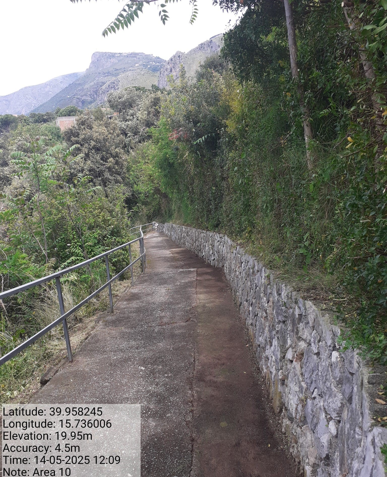 Galleria Fotografica Immagine