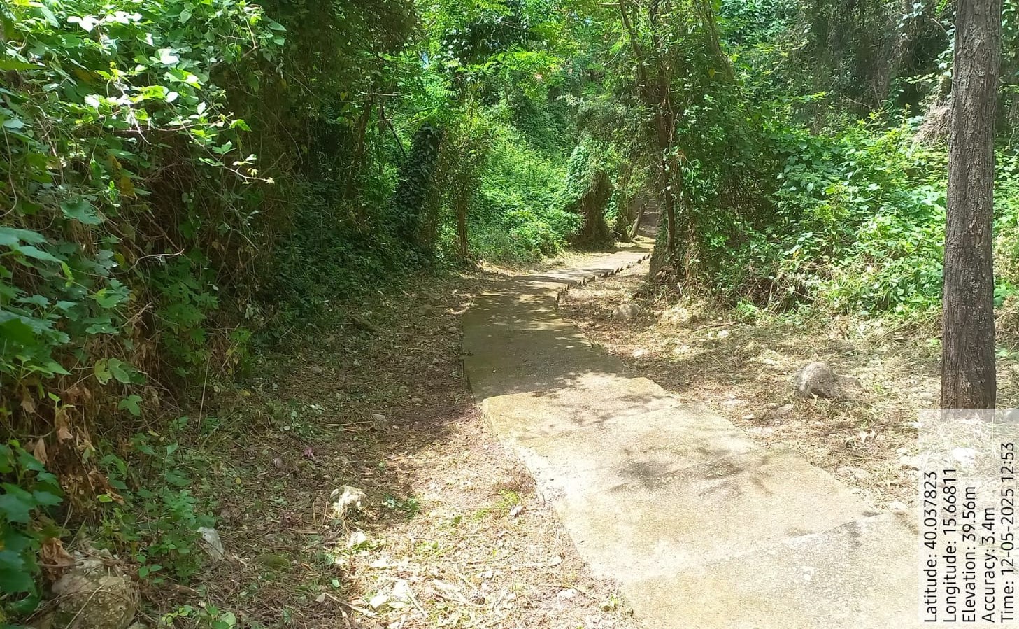 Galleria Fotografica Immagine