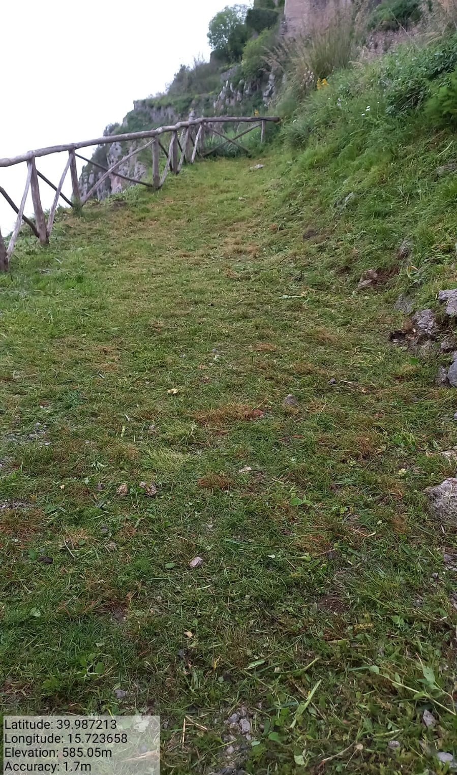 Galleria Fotografica Immagine